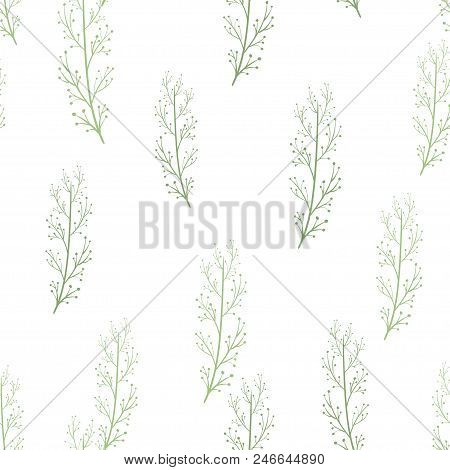 Vector Seamless Pattern With Plants. Hand Drawn Botanical Backdrop.