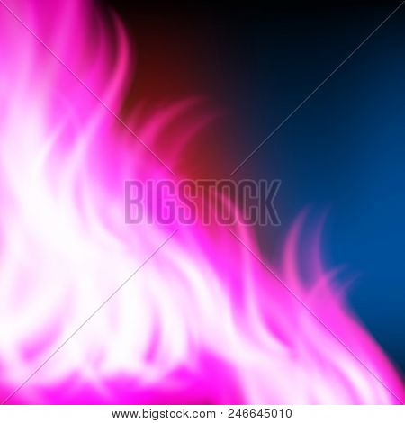 Abstract Rainbow Purple Fire Background. Eps10 Vector Background.