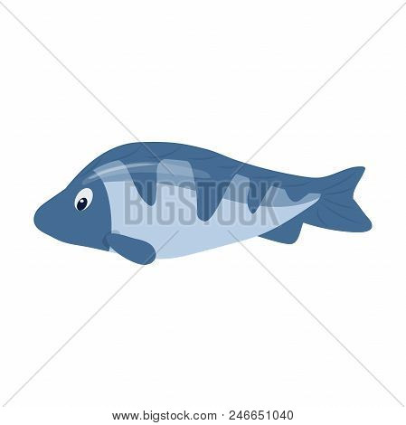Sea Fish Aquarium Cartoon Animal Character Vector Illustration. Underwater Tropic Fishing Marine Nat