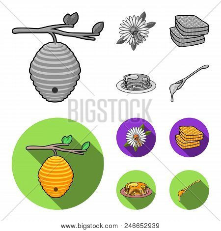 A Hive On A Branch, A Bee On A Flower, A Honeycomb With Honey, A Honey Cake.apiary Set Collection Ic