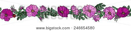 Endless Brush Border With Wild Roses. Summer Flowers Greeting Card Or Wedding Background. Hand Drawn