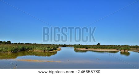 Oxfordshire Wetland Nature Reserve Near Otmoor On A Summers Day