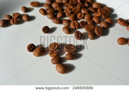 On A White Glass Plate Spilled Chaotically Coffee Beans Laid Delicious Grains Throughout The Plate.