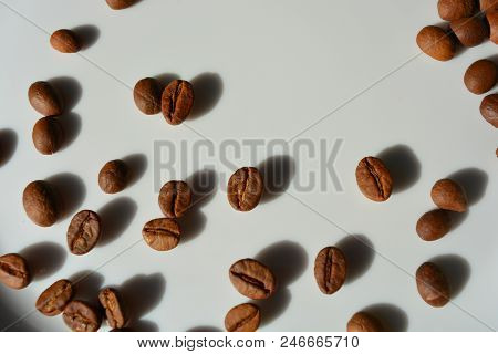 On A White Glass Plate Spilled Chaotically Coffee Beans Laid Delicious Grains Throughout The Plate.