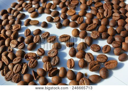 On White Glass Plate Laid And Beautifully Laid Out Bunch Of Delicious And Edible Brown Coffee Beans