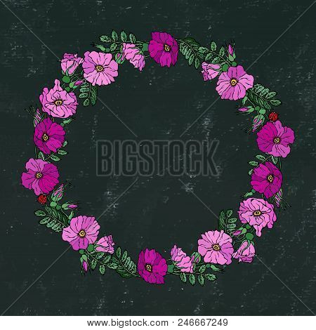 Round Frame With Wild Roses. Summer Flowers Greeting Card Or Wedding Background. Hand Drawn Illustra