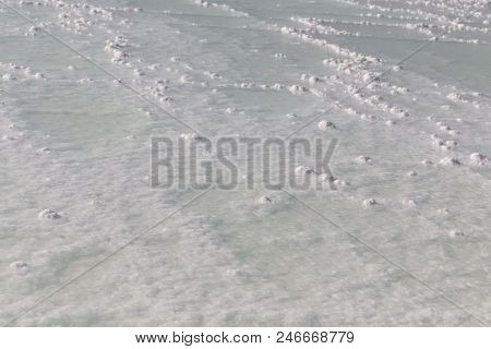 In The  National Park The Salt In The Water