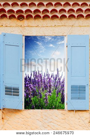 Provence Window With View Of Lavender Field, France