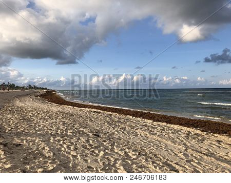 Storm Clouds At Sunset With Thick Brown Sargassum Seaweed On The Shore Of Florida Beaches In 2018 Su