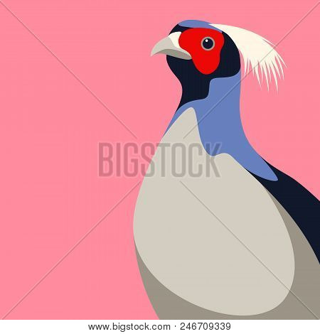 Pheasant Head Vector Illustration Flat Style Front Side