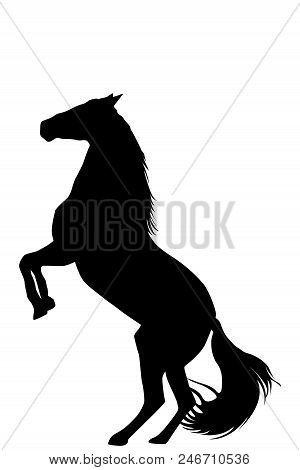 Silhouette Of Rearing Up Horse On White Background