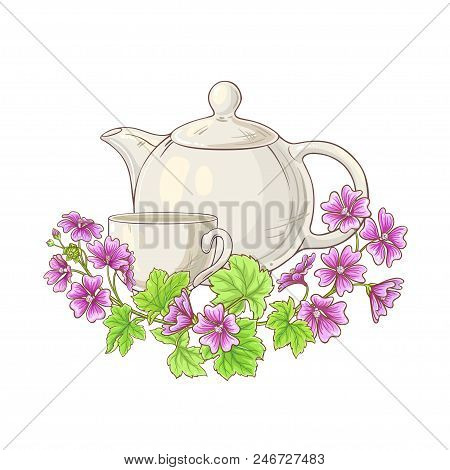 Malve Tea In Teapot Illustration On White Background