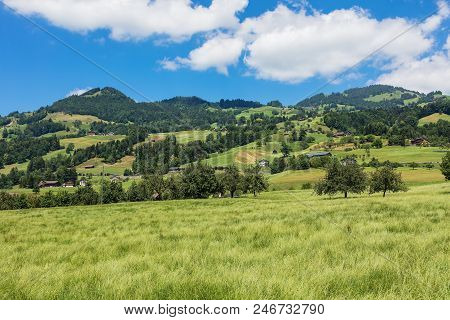 A Summertime View In The Swiss Canton Of Schwyz, The Picture Was Taken At The End Of June In The Reg