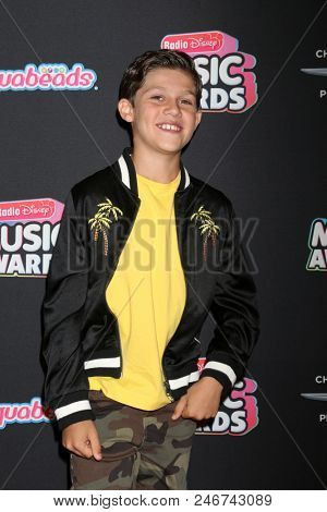 LOS ANGELES - JUN 22:  Jackson Dollinger at the 2018 Radio Disney Music Awards at the Loews Hotel on June 22, 2018 in Los Angeles, CA
