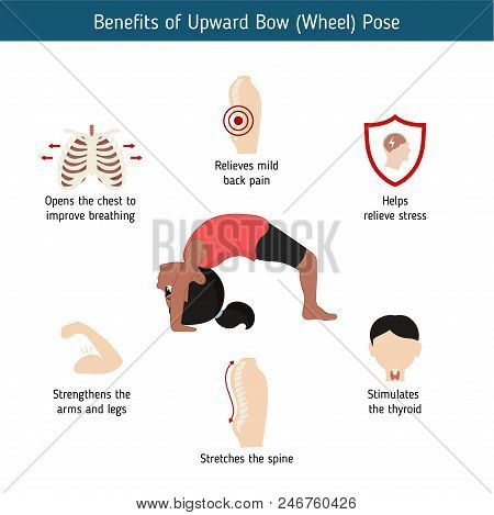 Infographics Of Yoga Pose
