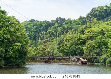 Water Surface, Bridge And Vegetation Communities In Qingcheng Mountain, Sichuan, China