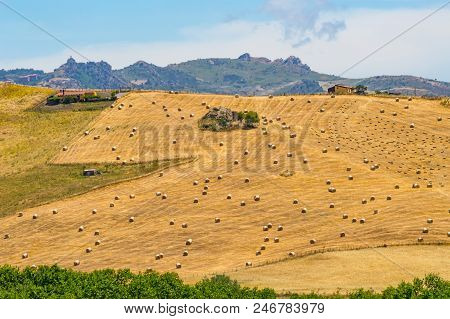 View Of A Field Of Straw Bales In The Countryside Of Northern Sicily Near Casaro