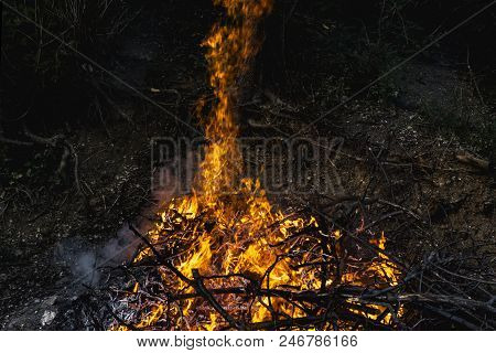 Background Bonfire From Branches. Flame Sparks Of Fire On A Black Background Burning Bonfires On A D