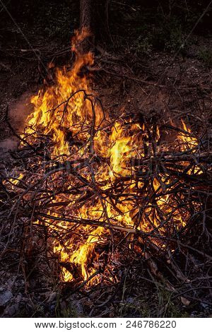 Background Bonfire From Branches. Flame Sparks Of Fire On A Black Background Burning Bonfires On A D
