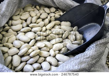 Dried White Big Beans In A Bag
