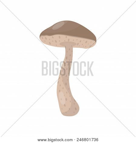 Cartoon Illustration Of Brown Cap Boletus Or Leccinum Mushroom. Cooking Ingredient. Forest Fungus. E