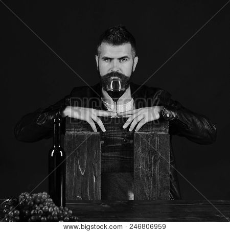 Man With Beard Holds Wineglass On Brown Background. Degustator With Serious Face Leans On Chair By W