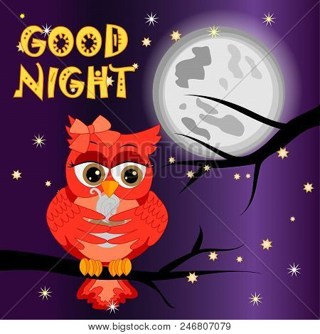 Good Night Card With Moon And Cute Owl