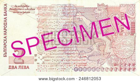 A Single 2 Bulgarian Lev Note Reverse Specimen Shot