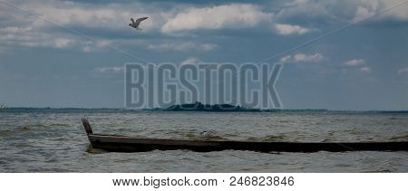 Two Seagulls At A Lake - On The Water, Sitting In A Boat, And Standing On The Boat.