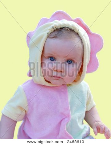 Bébé tournesol