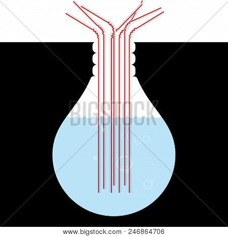 Straw Tube Inserted In The Trap, The Trap Is The Shape Of The Bulb.