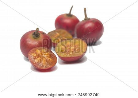 Flacourtia Fruit Ramontchi Isolate On White Background
