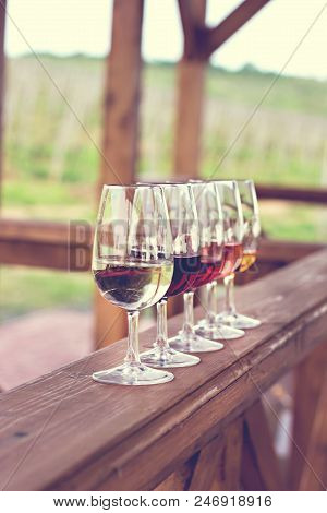 Glasses With Wine. Red, Pink, White Wine In Glasses. Set Of Glasses With Red, White And Rose Wine Ta