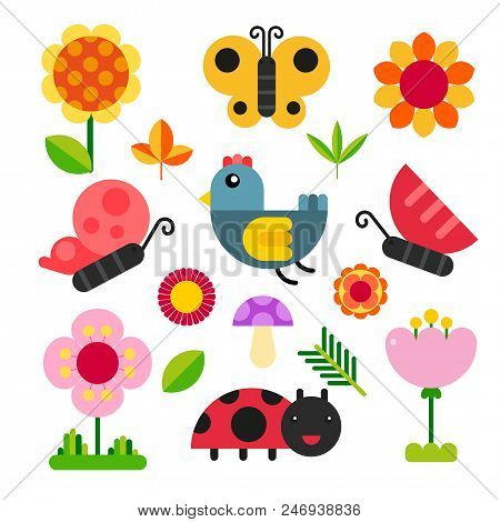 Animals Character Design, Garden Vector Set, Animals Design
