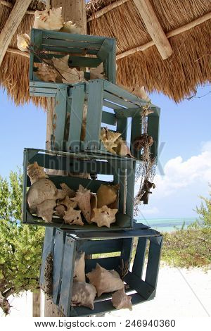 Shells In Crates As A Beach Decoration In A Beachside Hut