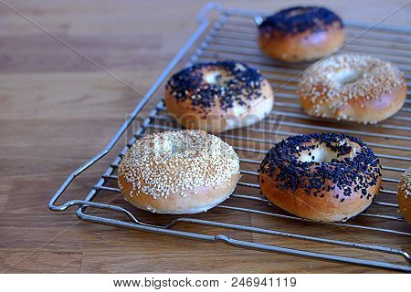 Baked Bagels, Fresh Yeast Round Bread For Breakfast, On A Metal Grill. Sprinkled With Black And Whit