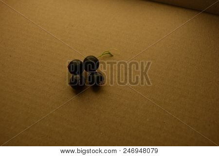 On The Background Of A Gray Box Of Paper Are Bunches Of Black Fresh-cut Currant From A Home Garden I