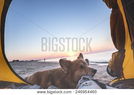 Happy Weekend By The Sea