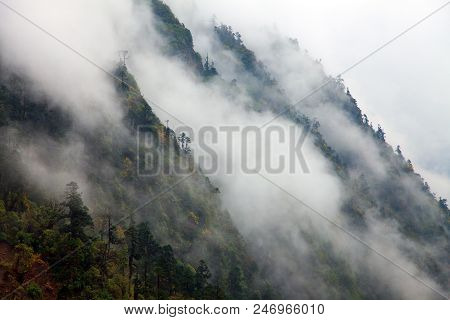 Mountain Rainforest, View From Makalu Barun National Park, Nepal Himalayas