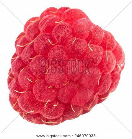 Isolated Berry. One Fresh Raspberry Fruit Isolated On White Background