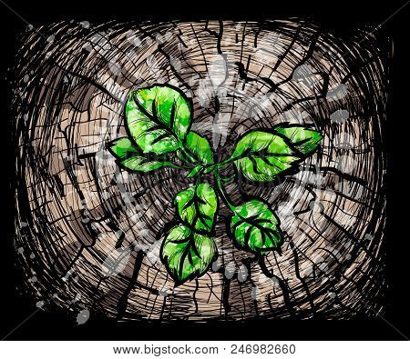 New Growth From Old Concept. Recycled Tree Stump Growing A New Sprout Or Seedling. Aged Old Log With