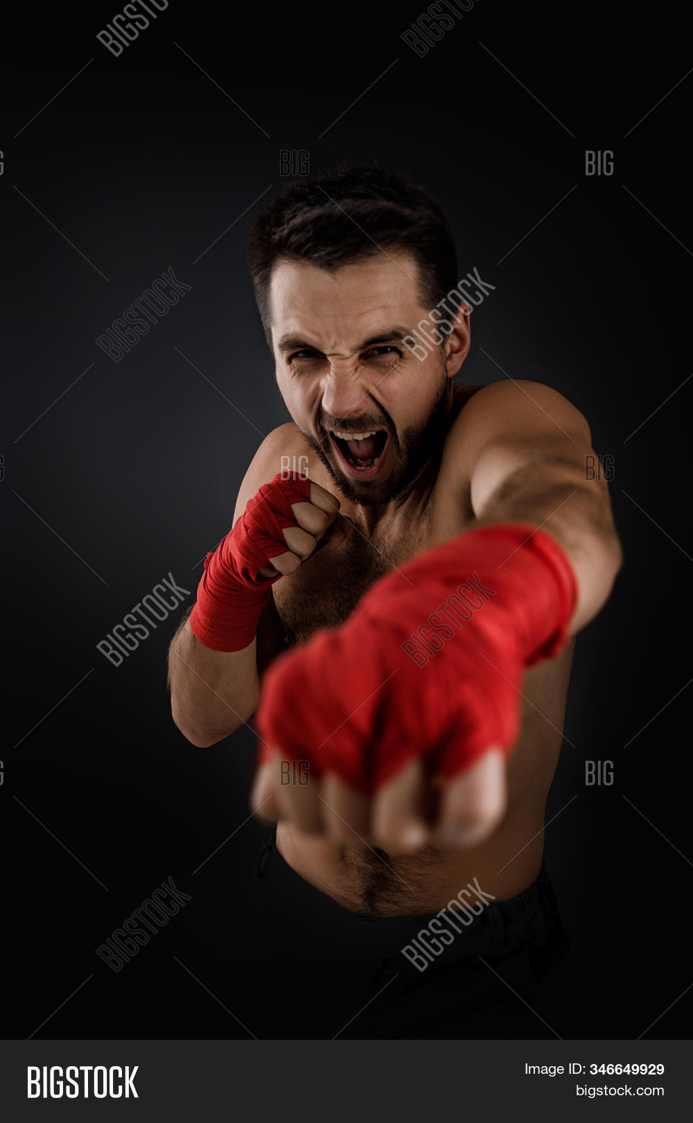 Sportsman Boxer Image & Photo (Free Trial) Bigstock