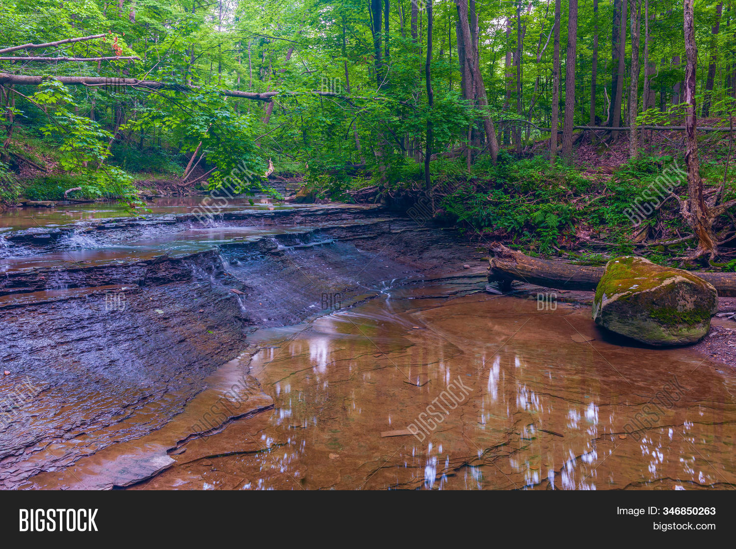 Small Cascading Image Photo Free Trial Bigstock