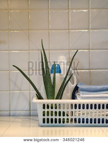 The Concept Of Eco-friendly Natural Detergents. Detergents And Cleaning Products With Aloe Vera Plan