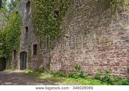 Stone Wall Of The Ruins Of An Old Castle Of Schloss Neuenburg In Germany, Overgrown With Ivy, In Spr