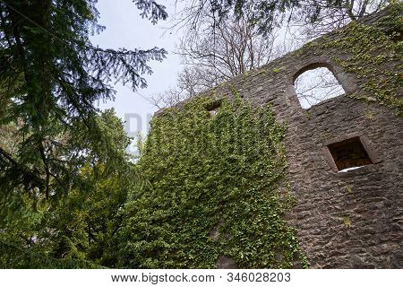 Stone Wall Of The Ruins Of An Old Castle Of Schloss Neuenburg In Germany, Overgrown With Ivy, In Spr