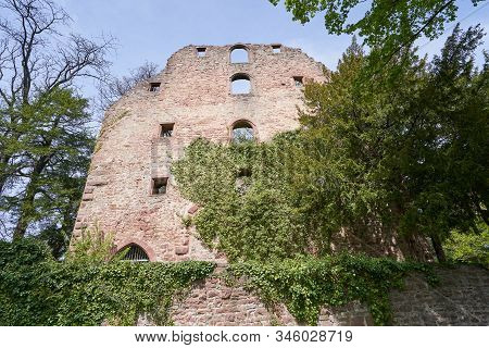 Stone Wall Of The Ruins Of An Old Castle Of Schloss Neuenburg In Germany, Overgrown With Ivy, In Spr