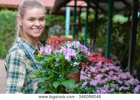Young woman gardening in greenhouse.She selecting flowers.