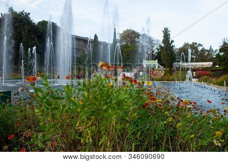 Mysore, Karnataka / India - January 01 202: Beautiful Flowers And Water Fountains In Brindavan Garde
