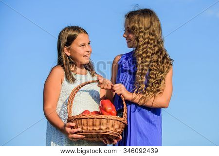Eat Healthy. Summer Harvest Concept. Gmo Free. Eco Farming. Girls Happy Smiling Child Living Healthy